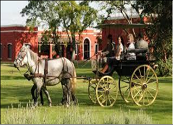 Full Day Tour with   Estancia Ombú de Areco with regular transfers, lunch and beverages Thumbnail