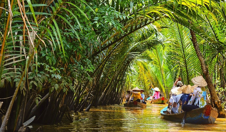 Coconut Land in Mekong Delta Thumbnail